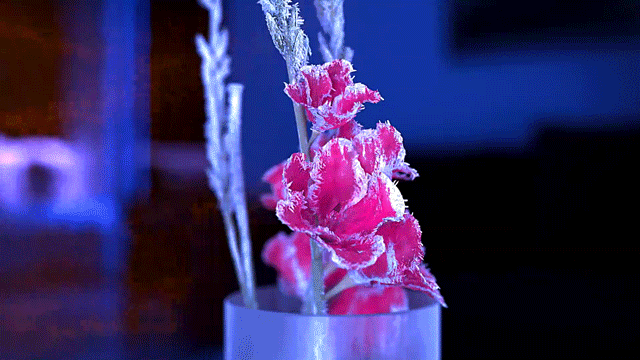HeatMate-SH-G420 Marketing Video Flower Defrosted